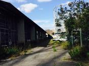 Incursione nell'area gazometri. luogo magico affascinante potrebbe creare ricchezza: invece solo abbandono