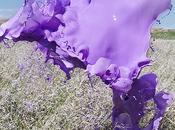 Fotografie come opere d’arte: Colourant Floto+ Warner