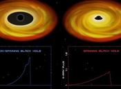 Buchi neri bernoccolo