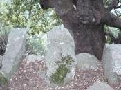 Marchio falsità petizione principio tiratina d’orecchie all’amico Franco Pilloni