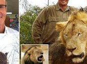 Cecil: leone ucciso dentista americano nello Zimbabwe.A