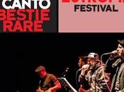 #A.F.A. Capitale Piotta vivo Eutropia Festival, giovedi' agosto 2015 Roma.