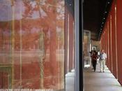 nuovi affreschi Pompei nella “Palestra Grande”