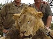 #Cecilthelion Firma petizione inserire leoni africani animali rischio estinzione