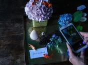 Floralmoodboard CONTEST Blossom zine partecipa anche