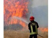 fuoco ettari terreno Lido Fiori