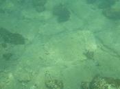 Insediamento preistorico trovato largo dell'Argolide