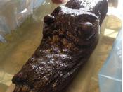 Trovata polena nave guerra danese