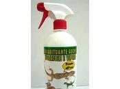 memoria geco Alfonso scomparso circostanze misteriose: parole