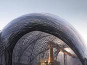 Research Pavilion 2014-15: potenziale architettonico nido ragno palombaro