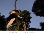 LUCIANO CHESSA, Petrolio