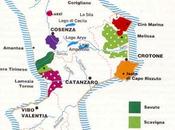 Vino rosso calabria calabrese bevuto