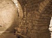 Perugia: Cena Museo alle radici tempo