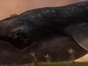 balene volanti conquistano John Carmack