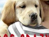 Crazy Donohue (Recensione)