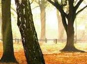 SEGNALAZIONE Meraviglia Riconquista mondo Sara Fiore