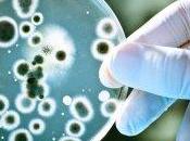 Cosa sono antibiotici?