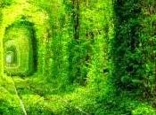 Psicopittografia, Come affrontare superare crisi della vita