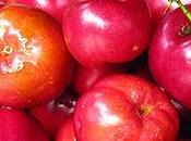 Acerola