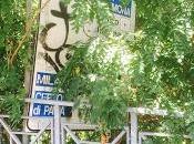 PAVIA. Qualche perplessità super appalto verde pubblico