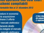 Guida operativa agli Appalti servizi forniture. Schemi, Flow chart, Regolamenti Maggioli editore, 2015