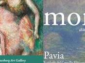 PAVIA. crollo visitatori alla mostra Degas Picasso”: -77% rispetto quella Monet 2014.