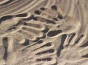 pranzo Babele: cibo integrazione