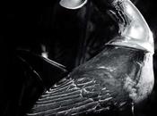 TREHA SEKTORI RM74 BARST, Muerti