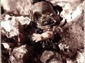 SEGNALAZIONE Crisantemo Nero Alex Faccio