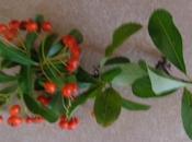 Davanti alla tomba Vinante.