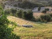 Maremma Toscana: confini indefiniti, sapori autentici, colori indimenticabili