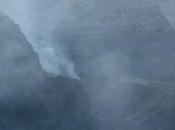 Mostra Venezia. rumors Leone d’oro arrivo