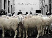 Settimana della lana, sfilata green Montenapoleone