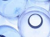 15/09/2015 Riciclo creativo: semplici progetti dare nuovo lustro alle vecchie bottiglie plastica