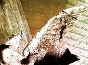 SEGNALAZIONE tessitore sogni Alex Calvi