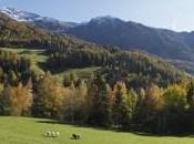 Alto Adige: soggiornare maso Gallo Rosso