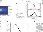 nuovo stato euclideo della materia