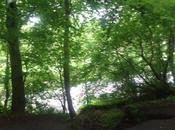 radicalismo destra sinistra