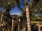 GIMIGNANO (SI): RISALITA Mostra personale Mariano Fuga