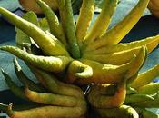 Frutti antichi