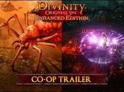 Divinity Original Enhanced Edition: tutto trailer sulla modalità cooperativa console