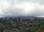 Renzi, l’eredità esentasse Berlusconi altri sonetti Jena Camuna