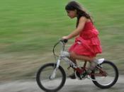 BICINPIEMONTE PROGETTO VENTO