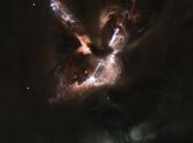 Stelle orfane fuochi d’artificio