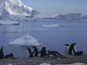 Allarme Wwf: pianeta squaglia nelle mani dell’uomo