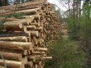Georgia: salva clima abbattendo foreste