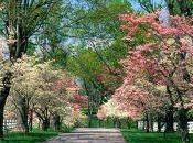 Come sopravvivere alla Primavera (secondo Cosmo Men’s Health)