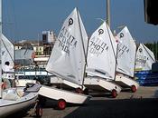 Vela Trofeo Optimist d'Oro