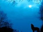 Esce libreria bitten, notte