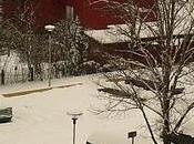 oggi ufficialmente primavera